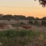 La Et Le Calme Vakantiehuis *