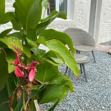 La Et Le Calme * Marennes (Charente-Maritime)