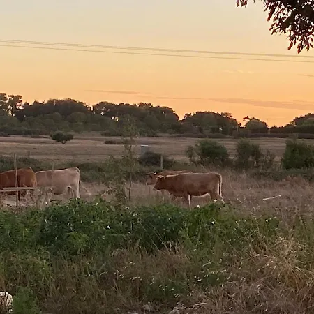 La Et Le Calme Tatil Evi *