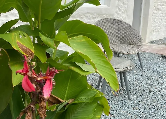 La Et Le Calme * Marennes (Charente-Maritime)