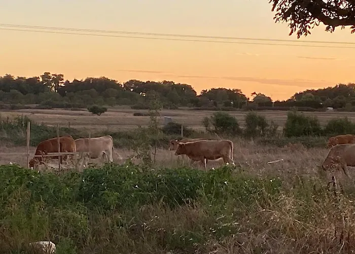 La Et Le Calme Сasa de vacaciones *